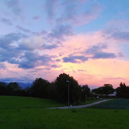 Paradise Apartments Paganella Fai della Paganella Zewnętrze zdjęcie