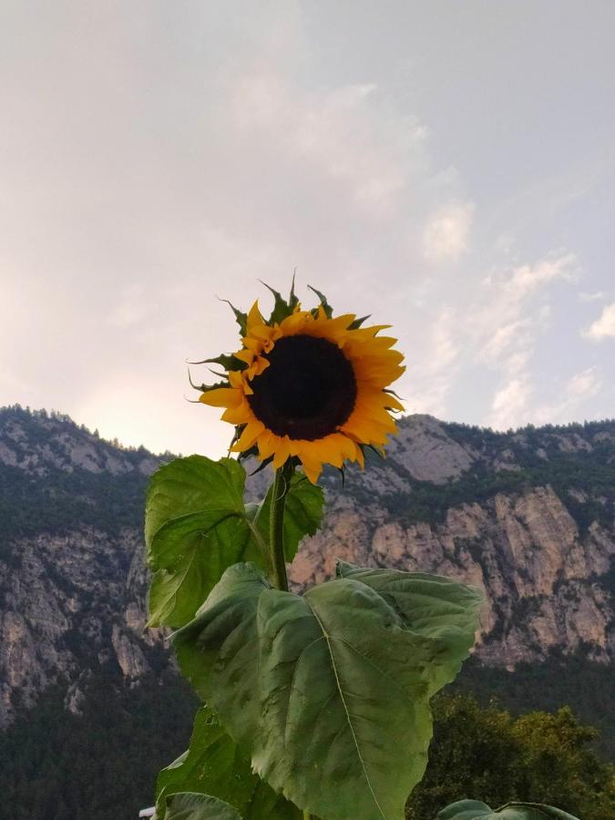 Paradise Apartments Paganella Fai della Paganella Zewnętrze zdjęcie