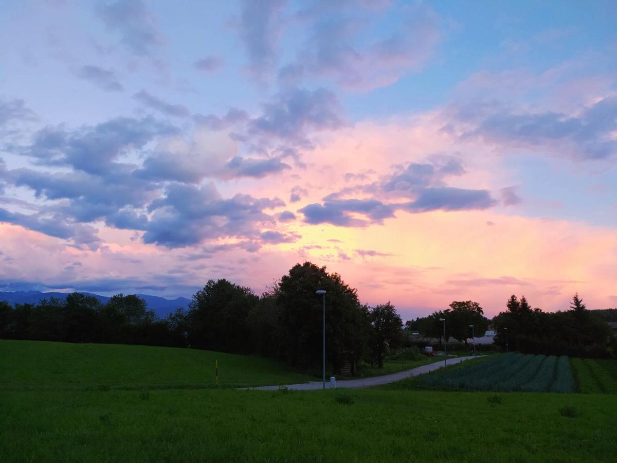 Paradise Apartments Paganella Fai della Paganella Zewnętrze zdjęcie